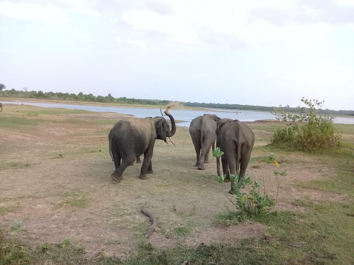 Tusker'S Paradise Safari Villa ウダワラウェ エクステリア 写真