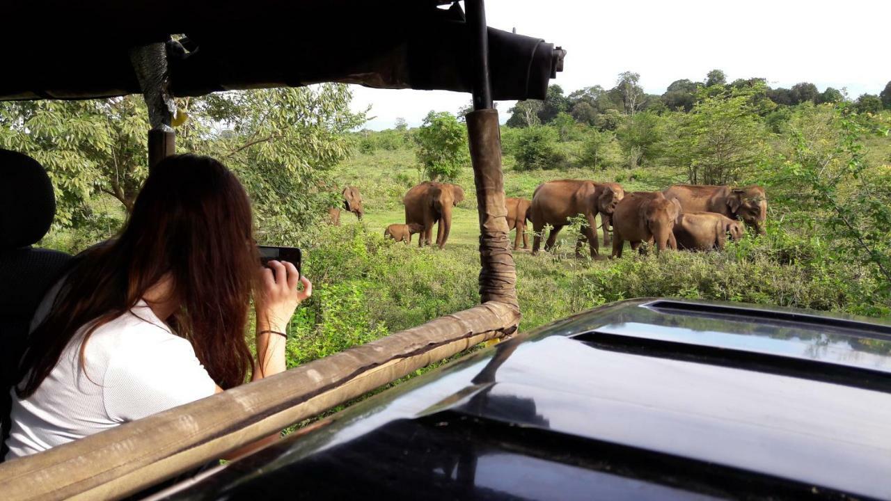 Tusker'S Paradise Safari Villa ウダワラウェ エクステリア 写真