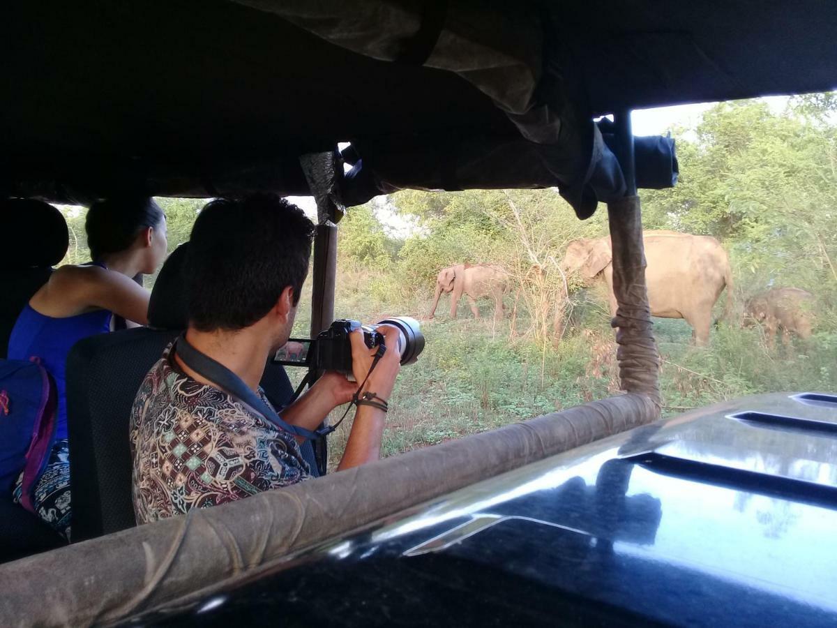 Tusker'S Paradise Safari Villa ウダワラウェ エクステリア 写真