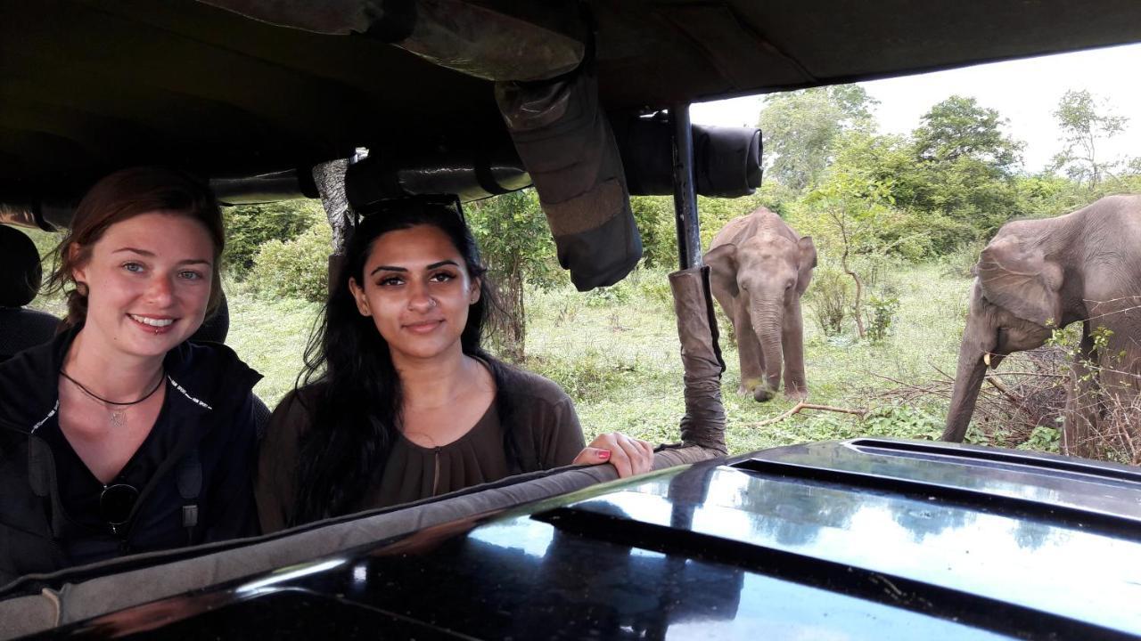 Tusker'S Paradise Safari Villa ウダワラウェ エクステリア 写真