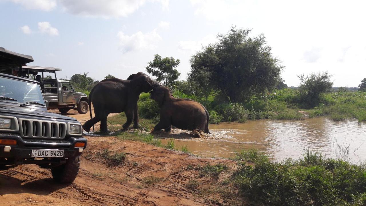 Tusker'S Paradise Safari Villa ウダワラウェ エクステリア 写真