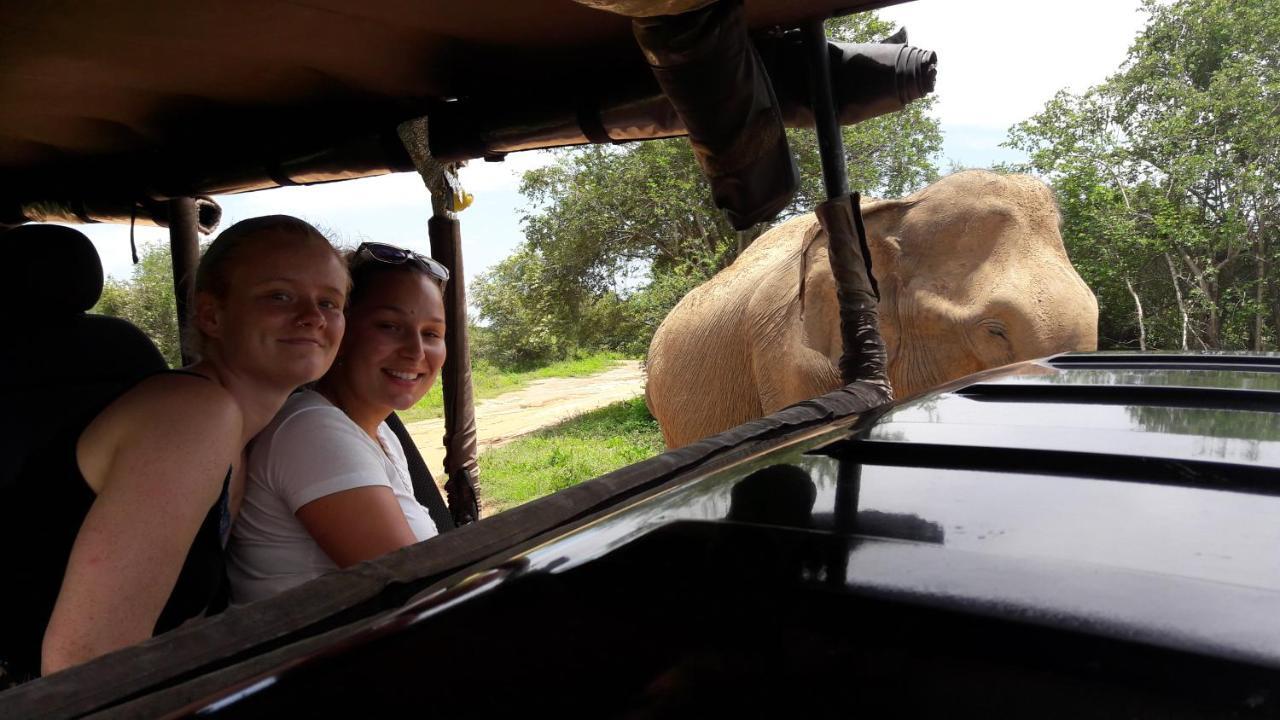 Tusker'S Paradise Safari Villa ウダワラウェ エクステリア 写真