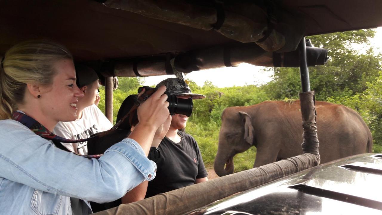 Tusker'S Paradise Safari Villa ウダワラウェ エクステリア 写真