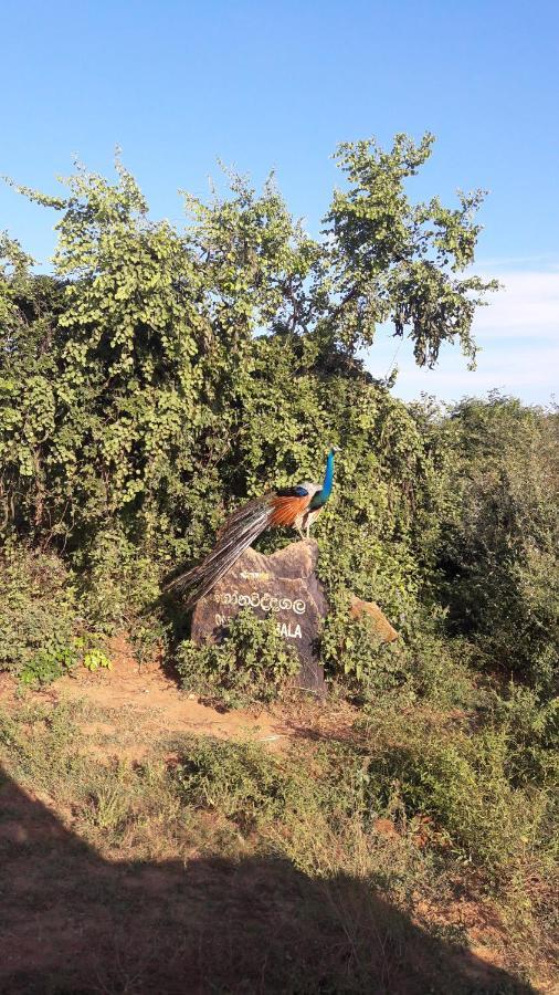 Tusker'S Paradise Safari Villa ウダワラウェ エクステリア 写真